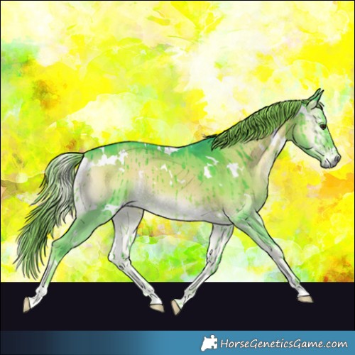 Horse Color:Watercolor White Spotted Liver Red Dun Onyx Brindle