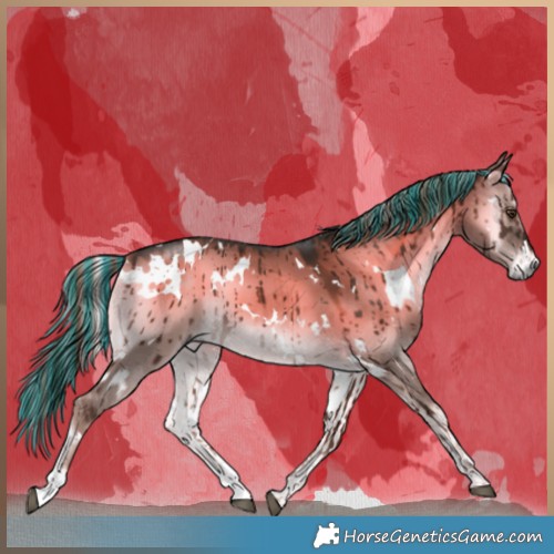 Horse Color:Painted White Spotted Liver Red Dun Onyx Brindle