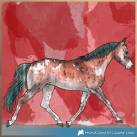 Horse Color:Painted White Spotted Liver Red Dun Onyx Brindle