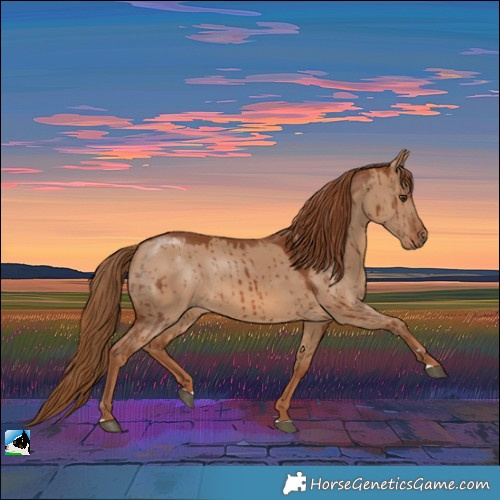 Horse Color:Red Dun Rabicano Brindle 