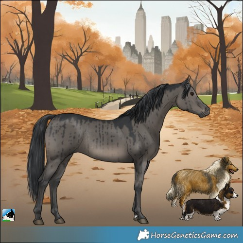Horse Color:Grullo Mushroom Rabicano Brindle 