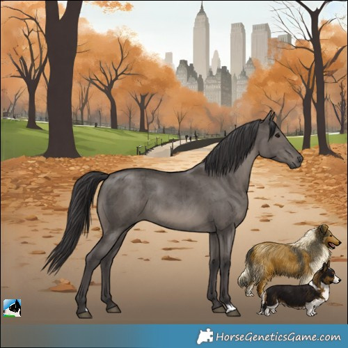 Horse Color:Smoky Grullo Brindle 