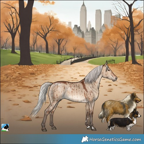 Horse Color:Silver Brown Dun Brindle 