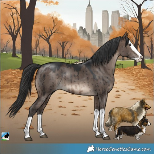 Horse Color:Brown Dun Mushroom Splash Brindle
