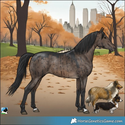 Horse Color:Brown Dun Brindle 