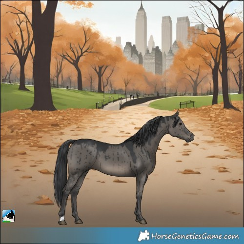 Horse Color:Grullo Brindle