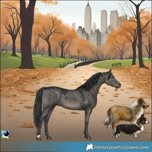 Horse Color:Grullo Brindle 