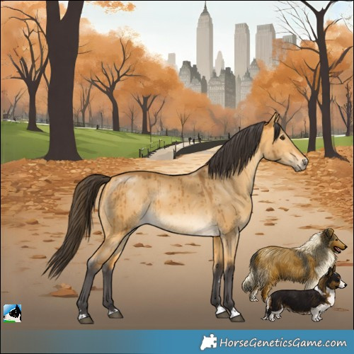 Horse Color:Buckskin Dun Brindle 