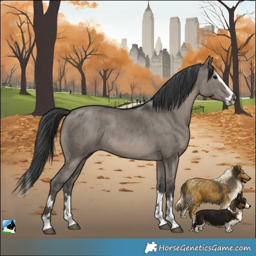 Horse Color:Grullo Splash Rabicano Brindle 