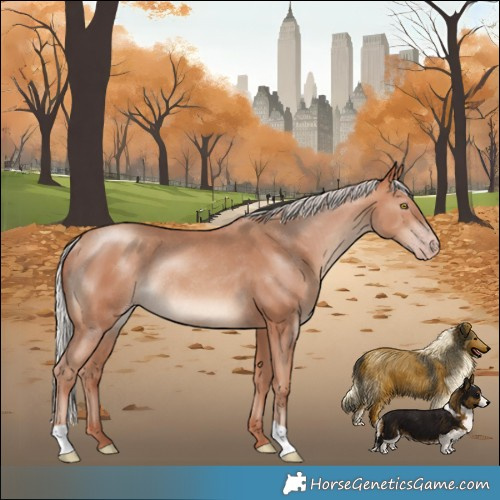 Horse Color:Silver Sable Champagne Rabicano