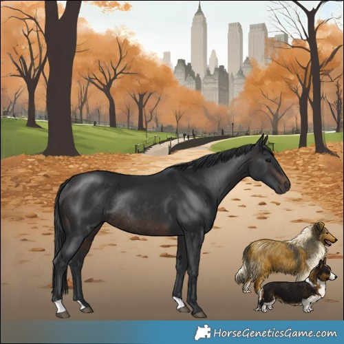 Horse Color:Brown Mushroom Rabicano 