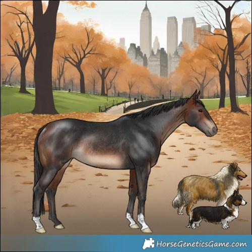 Horse Color:Bay Rabicano