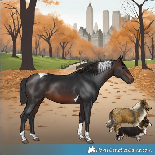 Horse Color:Brown Tobiano