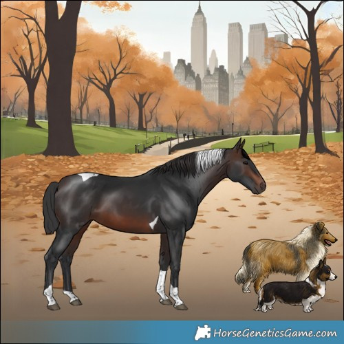 Horse Color:Brown Tobiano 