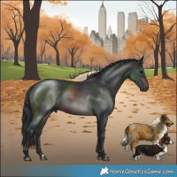 Horse Color:Brown Rabicano 