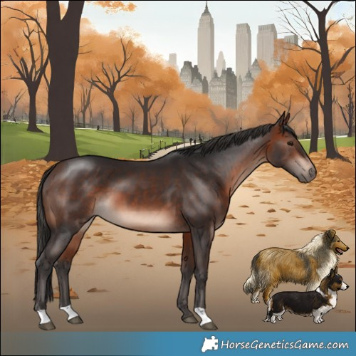 Horse Color:Bay Mushroom 