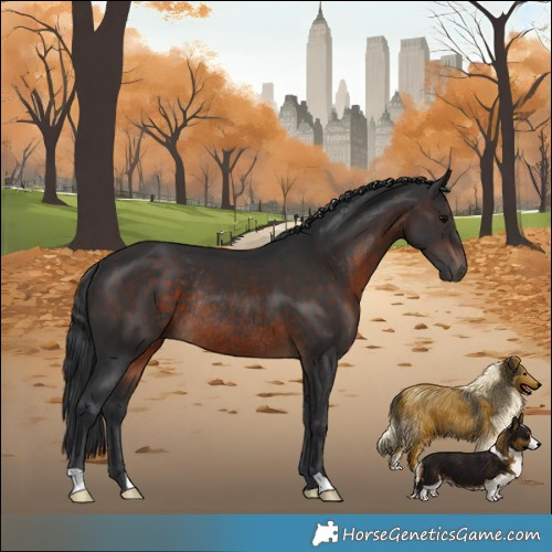 Horse Color:Brown Rabicano 