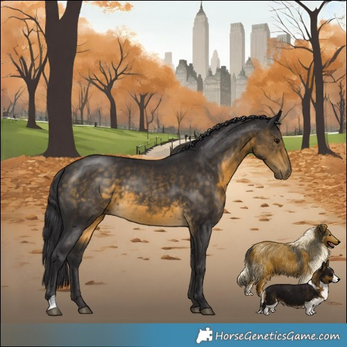 Horse Color:Buckskin