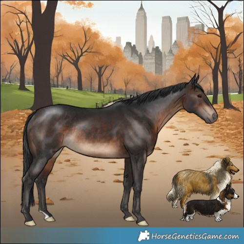 Horse Color:Brown Rabicano 