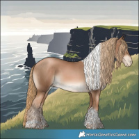 Horse Color:Liver Chestnut Pearl Sabino Tobiano