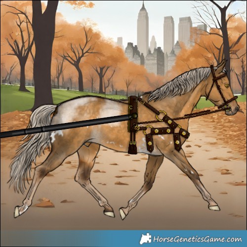 Horse Color:White Spotted Chocolate Palomino Dun