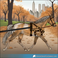 Horse Color:White Spotted Chocolate Palomino Dun 