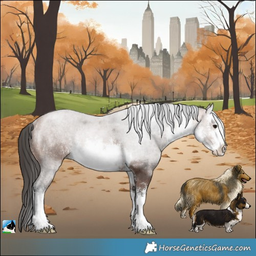 Horse Color:White Spotted Bay Rabicano
