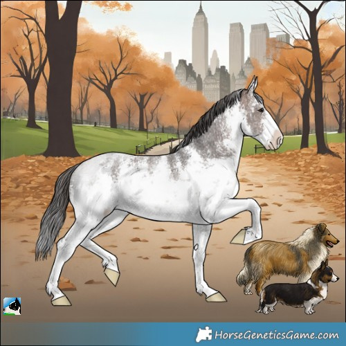 Horse Color:White Spotted Brown Ice Sabino Rabicano