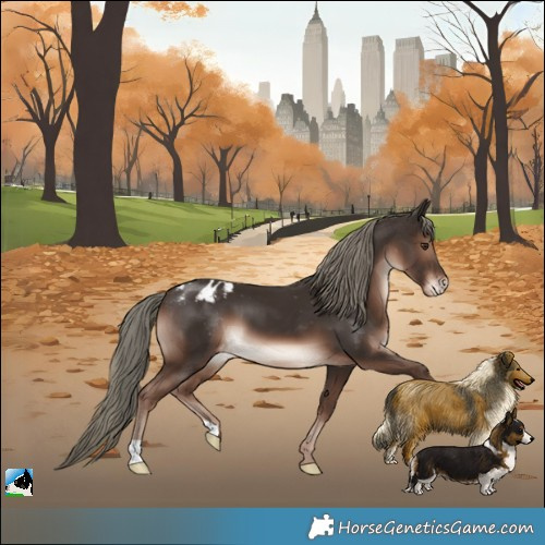 Horse Color:Liver Chestnut Mushroom Appaloosa 