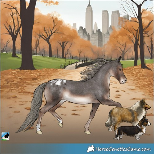 Horse Color:Liver Chestnut Mushroom Blanket