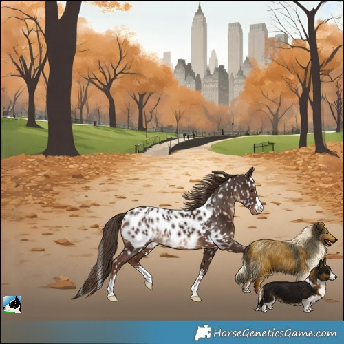 Horse Color:Liver Chestnut Near Leopard 