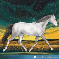 Horse Color:Platinum White Spotted Liver Red Dun Roan