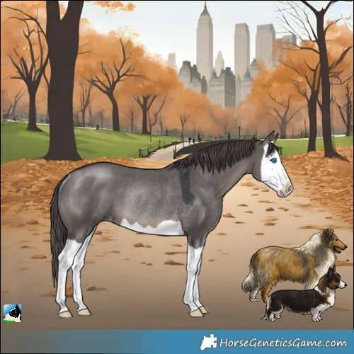 Horse Color:Grullo Mushroom Splash Varnish Rabicano