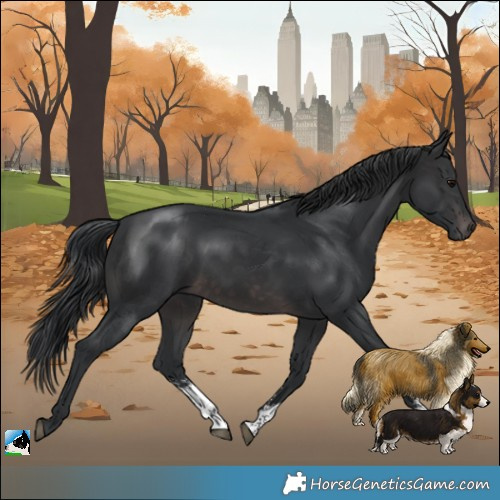 Horse Color:Platinum Brown Sabino Rabicano