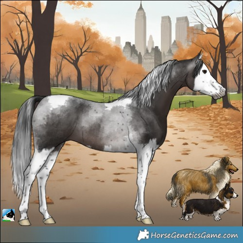 Horse Color:Gray Platinum Bay Splash Tobiano 