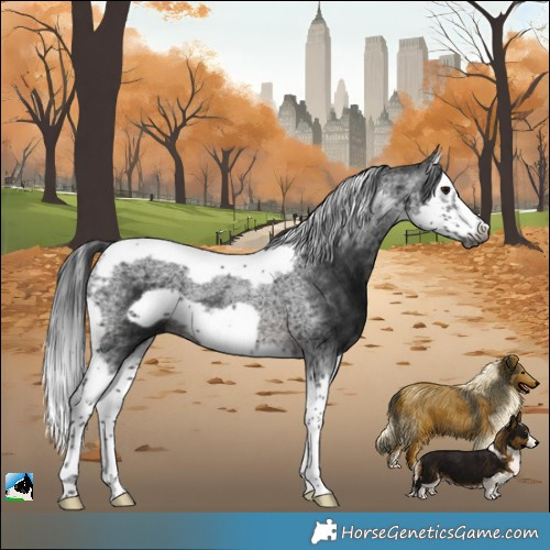 Horse Color:Gray Platinum Brown Splash Tobiano Frame Rabicano 