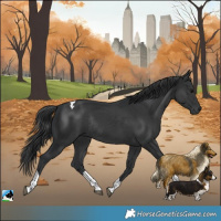 Horse Color:Platinum Black Tobiano Rabicano 