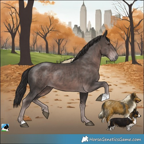 Horse Color:Platinum Liver Chestnut 