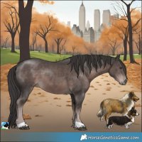 Horse Color:Platinum Liver Chestnut 