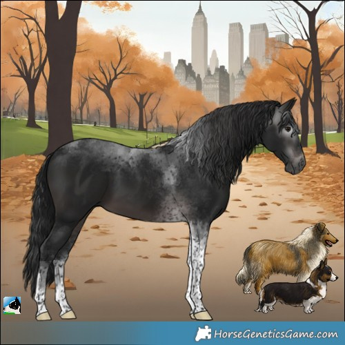 Horse Color:Gray Platinum Brown Tobiano 