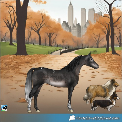Horse Color:Gray Platinum Brown Tobiano 