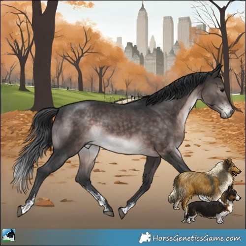 Horse Color:Platinum Brown Sabino Rabicano 