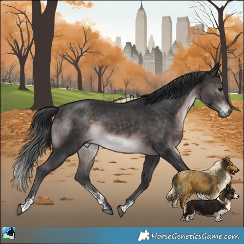 Horse Color:Platinum Brown Sabino Rabicano 