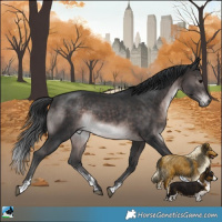 Horse Color:Platinum Brown Sabino Rabicano