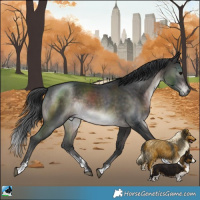 Horse Color:Platinum Brown Sabino Rabicano