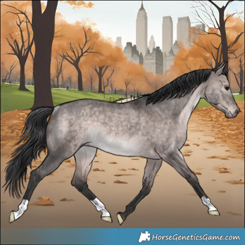 Horse Color:Platinum Brown Dun Rabicano 
