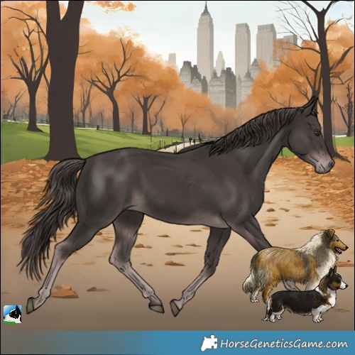 Horse Color:Platinum Liver Chestnut 