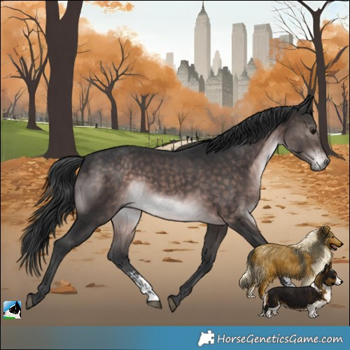 Horse Color:Platinum Brown Mushroom Sabino Rabicano 