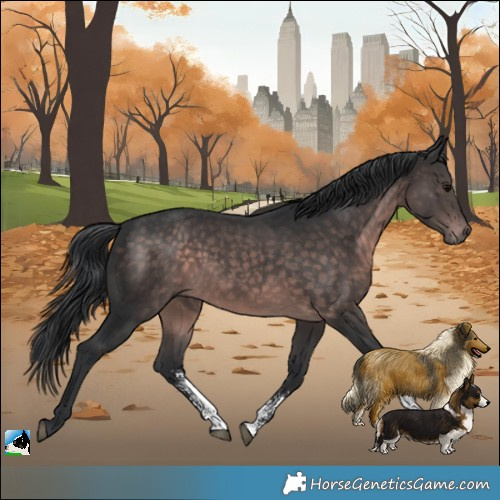 Horse Color:Platinum Brown Sabino 