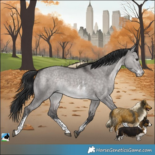 Horse Color:Platinum Brown Dun Sabino Rabicano 